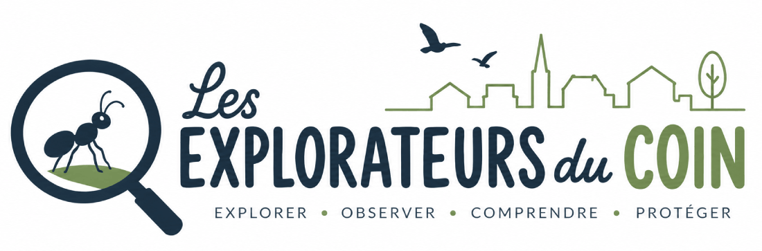 Les Explorateurs du Coin